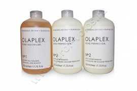 Olaplex Salon Intro Kit          ,        ,    .  Olaplex     