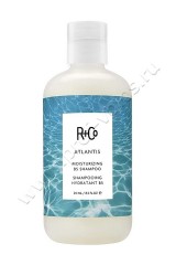   R+Co Atlantis Moisturizing B5 Shampoo     5 250 