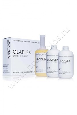 Olaplex Salon Into Kit    1  ,    1