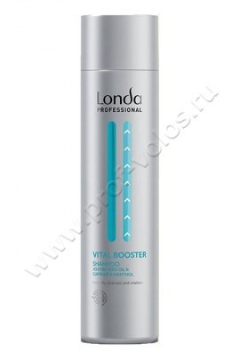 Londa Professional Scalp Vital Booster Shampoo   250 ,       ,   ,       