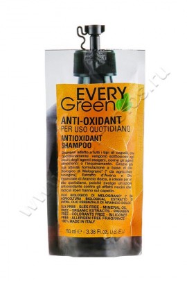 Dikson  EveryGreen Anti-Oxidant Antiossidante       100 ,      ,         