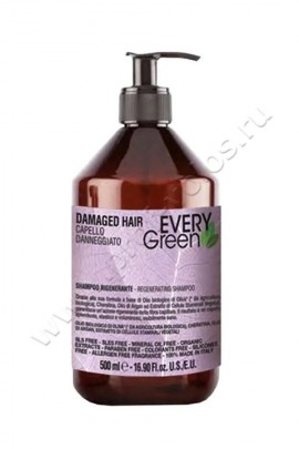 Dikson  EveryGreen Damaged Hair Rigenerante Shampoo       500 ,    -      