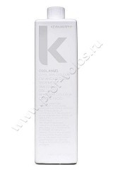  - Kevin Murphy Coloring Cool Angel      1000 