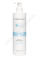 Гель Christina Cleaners Fresh Azulene Cleansing Gel DELICATE & REDDISH ауленовый очищающий для чувствительной кожи 300 мл