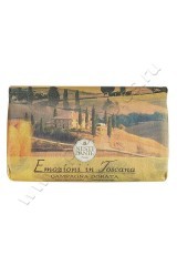  Nesti Dante Emozioni In Toscana The Golden Countryside   250 