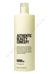 Кондиционер Authentic Beauty Concept Replenish Conditioner для поврежденных волос 1000 мл