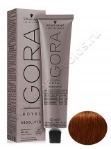  -  Schwarzkopf Professional Igora Royal Absolutes 6-70 Dark Blonde Copper Natural    60 