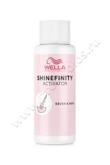  Wella Professional Shinefinity Activator - Brush & Bowl Application     2% 60 