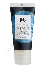 - R+Co Submarine Water Activated Enzyme Exfoliaing Shampoo      89 