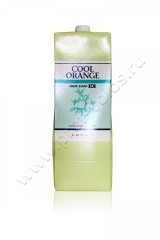 Шампунь Lebel Cool Orange SC Hair Soap для профилактики выпадения волос 1600 мл